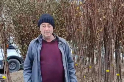 Darendeliler Dona Rağmen Kayısı Dikiyor!