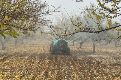 Kayısıda Sonbahar Mücadelesi Başladı