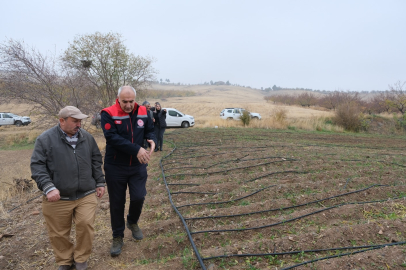 Malatya'da Safran Üretimi Başarılı Oldu
