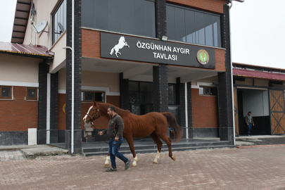 Sultansuyu Harası'nda Kamera Yokmuş...