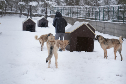 Battalgazi'de Bir Hayvan Barınağı Daha Hizmete Girdi