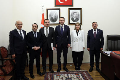 Malatya'da yarım kalan doğalgaz ve elektrik projeleri tamamlanıyor