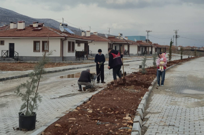 Yeni Polat'da Çevre düzenlemesi yapılıyor