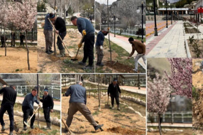 Darende Belediyesi 7 Bin Fidan Dikti
