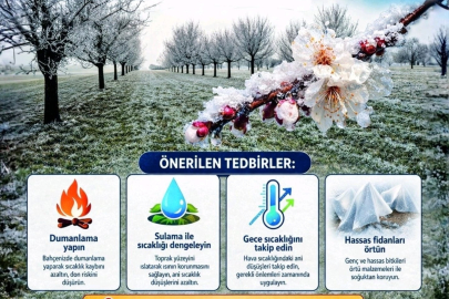 Zirai Don Riskine Karşı Üreticiler uyarıldı