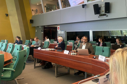 Babacan: İsrail’in Konsey’den Dışlanması İçin Diplomatik Süreç İşletiyoruz