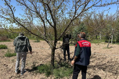 Dolu yağışı Malatya'da yüzde 40'a varan hasara neden oldu