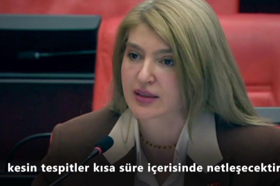 Milletvekili Ölmeztoprak, dolu hasarını Meclis gündemine taşıdı