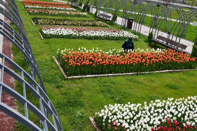 Malatya 100. Yıl Parkı’nda lale şenliği
