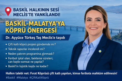 Baskil, Malatya'ya köprü talebini Meclise taşıdı