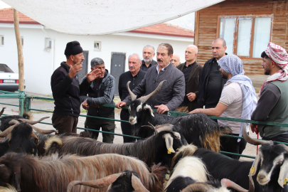 Malatya'da Hayvan Satışında Tekelleşme İddiası