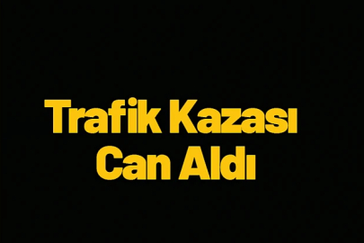Motosiklet sürücüsü elektrik direğine çarptı