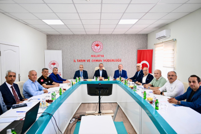 Malatya'da Kayısı rekoltesi belirleniyor