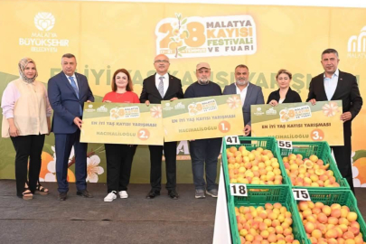 Malatya'nın en iyi kayısıları Doğanşehir'den çıktı
