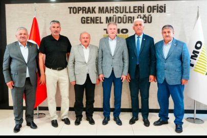 Ziraat Odaları TMO'nun Kayısı alımı yapmasını bekliyor
