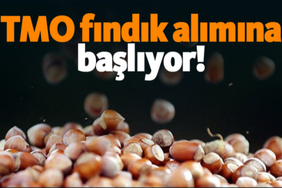 Fındık Alımı başlıyor, Kayısı için alım görünmüyor