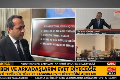 Babacan, 5 ayrı canlı yayında “Çerçeve Yasa”yı anlattı