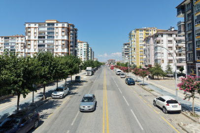 Büyükşehir yolları yeşillendiriyor