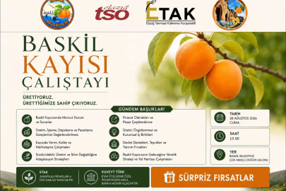 BASKİL KAYISI ÇALIŞTAYI DÜZENLİYOR