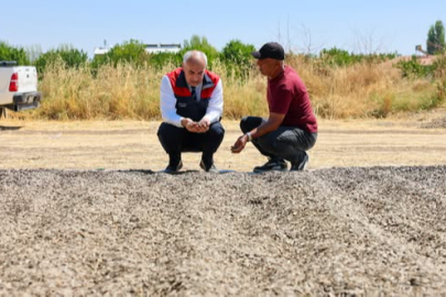 Yazıhan'da Ayçiçeği hasadı üreticiyi memnun etti