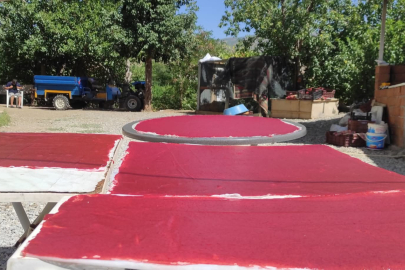 Pütürge de Çilek'ten pestil ürettiler