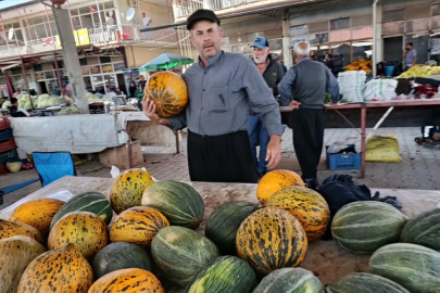 Darende Irmaklı Kavunu satışa çıktı
