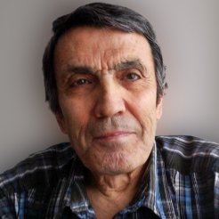 EŞEK ARISI ÖLÜSÜNÜ TAŞIYAN KARINCA