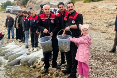 Boztepe Barajına 120 bin aynalı sazan balığı bırakıldı