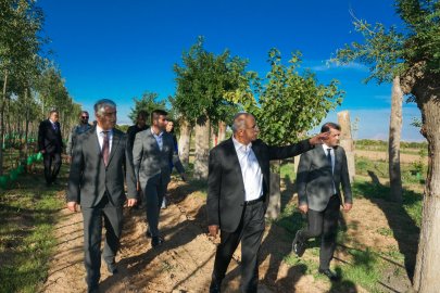 Büyükşehir Fidan ve rulo çim üretti